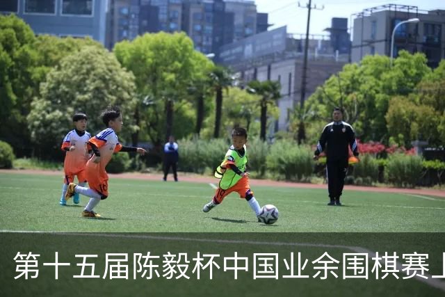 第十五届陈毅杯中国业余围棋赛上海开幕
